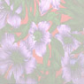 Hibiscus background  CD cover