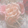 Rose and pearls background CD cover