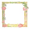 Roses frame CD cover